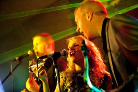 Chameleon Wedding & Function Band Party Band Hire Profile 1